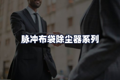 脉冲布袋除尘器系列